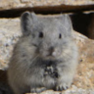 Meet your Posher, Eloise